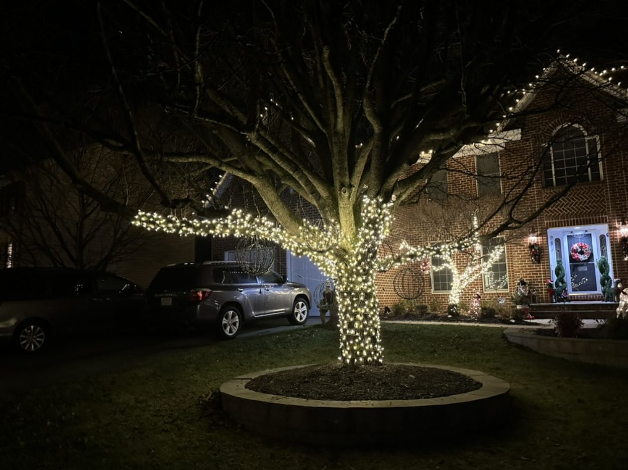 Holiday tree wrapping and roofline lighting