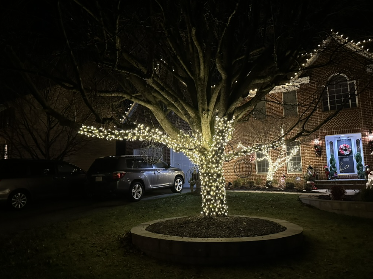 Custom holiday lighting wrapping a large tree and roofline